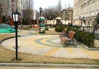 Чеченские садовники научат Петербург благоустраивать парки